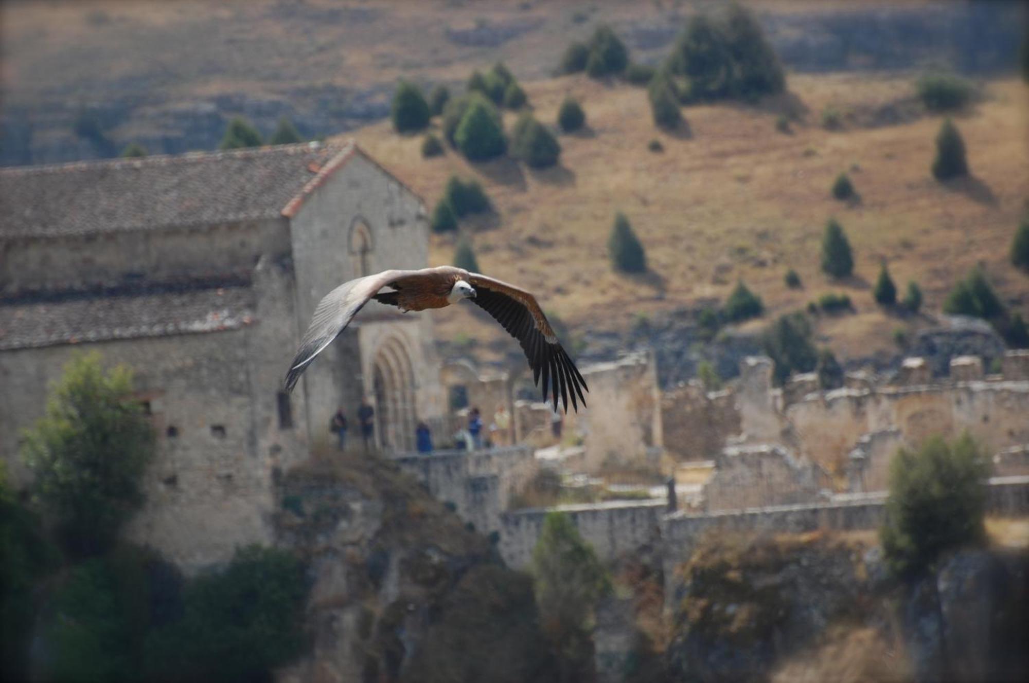El Rincon De Las Hoces Del Duraton Burgomillodo Kültér fotó